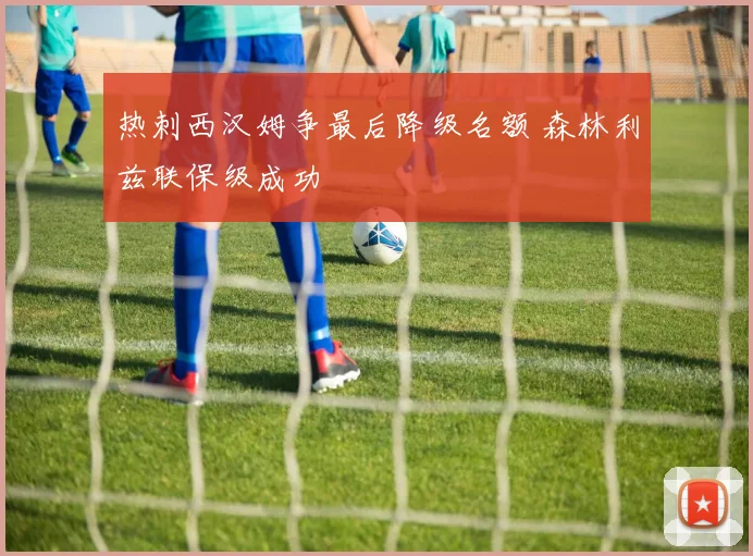 热刺西汉姆争最后降级名额 森林利兹联保级成功